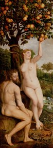 Peccato originale. da Michiel Coxie
