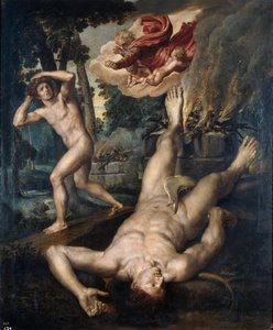 La morte di Abele da Michiel I Coxie or Coxcie