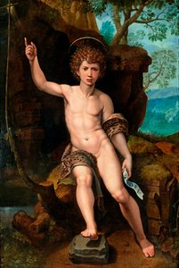 Rappresentazione di San Giovanni Battista da Michiel I Coxie or Coxcie