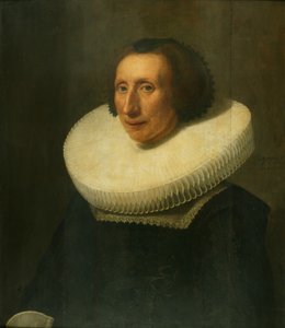 Ritratto di una signora, 58 anni da Michiel Jansz. van Miereveld
