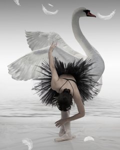 La ballerina del Cigno Nero da Mieke