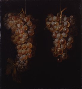 Grappoli d