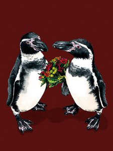 Pinguini anniversario sull