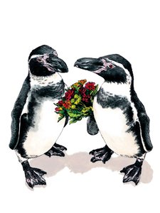Pinguini anniversario sul bianco, 2020