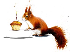 Scoiattolo di compleanno su bianco, 2020