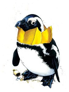 Pinguino di Natale su Bianco, 2020