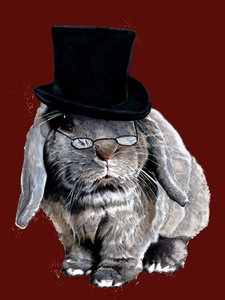 Coniglio humbug su ossido rosso, 2020