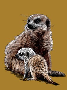 Nuovo bambino suricati sul giallo dorato, 2020 da Mike Davis