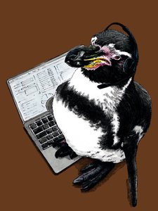 Pinguino Nuovo Lavoro su Arancione Bruciato, 2020