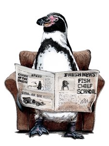 Pinguino in pensione su bianco, 2020