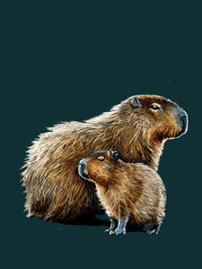 I capibara su ciano profondo da Mike Davis