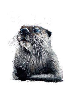 La lontra su bianco, 2020 da Mike Davis