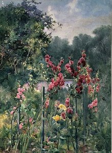 Malvarose da Mildred Anne Butler