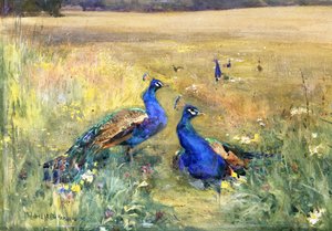 Pavoni in un campo da Mildred Anne Butler