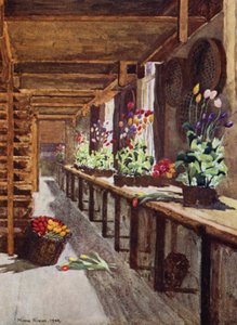 Una casa di bulbi