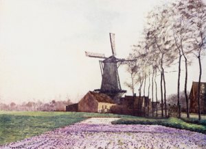 La promessa della primavera