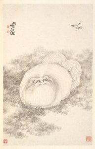 Gatto e farfalla da Min Zhen