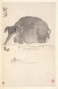 Elefante, cavallo e lepre