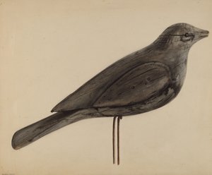 Richiamo (Gabbiano)