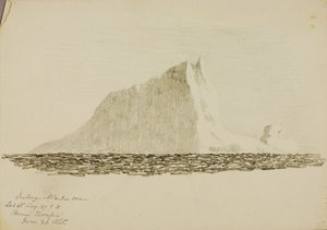 Iceberg