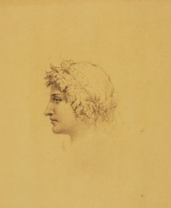 Testa ideale per l