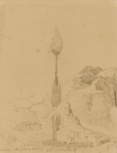 Quercia sul Monte Sinai da Miner Kilbourne Kellogg