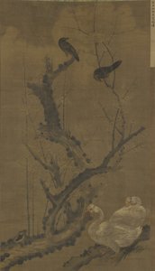Mynahs, oche e pruno in fiore
