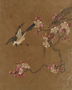 Dieci immagini di uccelli e fiori