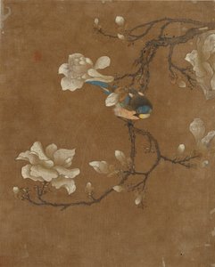 Dieci immagini di uccelli e fiori