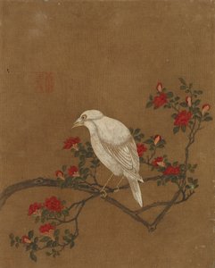 Dieci immagini di uccelli e fiori
