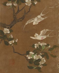 Dieci immagini di uccelli e fiori