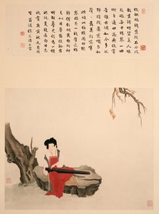 Signora Seduta su una Roccia che Suona un Qin da Ming Yu
