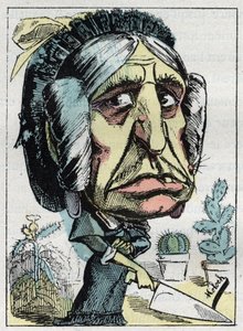 Allegoria della “matrigna” (Belle mere) in “Le Trombinoscope” di Touchatout, caricatura di B. Moloch del 1882 (1849-1909). Collezione privata