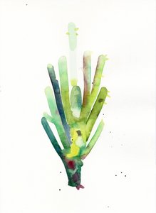 Cardon2, 2021 da Monica Perez Vega