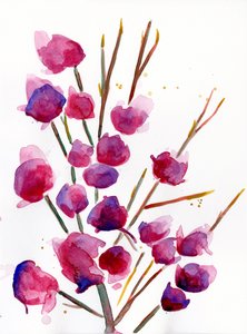 Magnolia