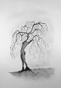 Morte degli alberi 3 da Monika Wittrich