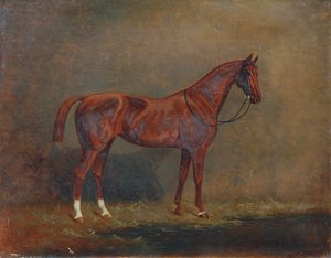 Ritratto di un cavallo da sella da Monogrammist A. G.