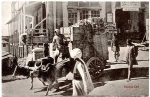 Carro trainato da buoi, c.1900-20