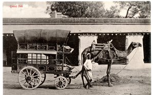 Camel Dak, c.1911-12 (foto seppia) da Moorli Dhur and Sons