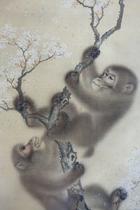 Scimmie in un ciliegio in fiore, 1 di 2, Mori Sosen, Giappone, periodo Edo, inizio 1800, inchiostro e colore su seta - Museo Arthur M. Sackler, Università di Harvard - DSC01127 da Mori Sosen