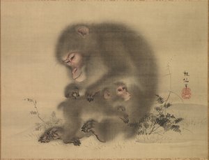 Scimmie, fine XVIII-inizio XIX secolo da Mori Sosen