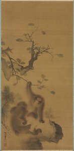 Scimmie su una sporgenza rocciosa, 1615-1868 da Mori Sosen