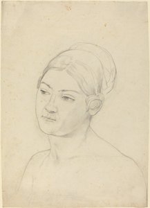 Testa di una Giovane Donna