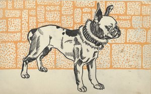 Pitbull Terrier, 1912