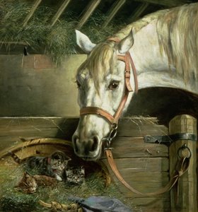 Cavallo e gattini, 1890