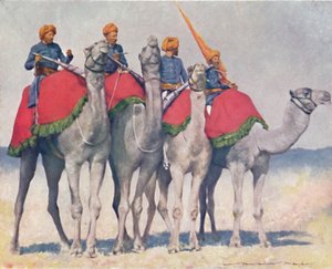 Cammelleria di Alwar, 1903 da Mortimer L Menpes
