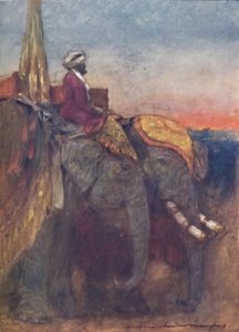 Elefanti di Jaipur da Mortimer L Menpes