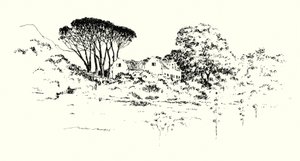 La fattoria di Cecil J Rhodes