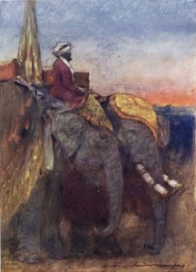 Elefanti di Jaipur da Mortimer Ludington Menpes