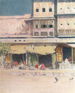 Taglialegna, Jeypore, 1905